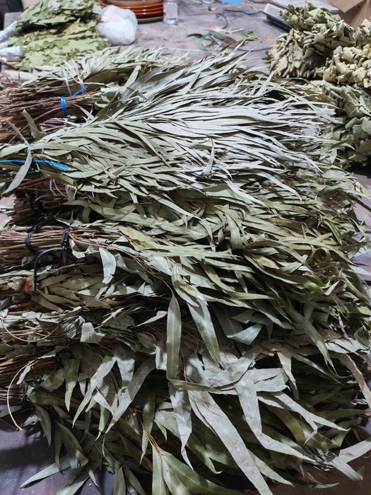 Веники для бани эвкалипт,дуб, канадский дубдуб, масла и запарки.