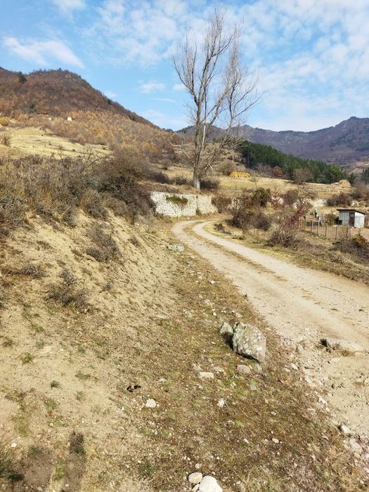 Продава се Парцел в Девин - 30000 кв.м за 42 €/кв.м - Снимка #6