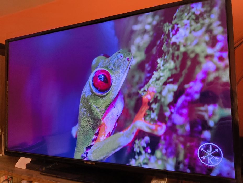 Finlux 49-FFD-5500 LED LCD