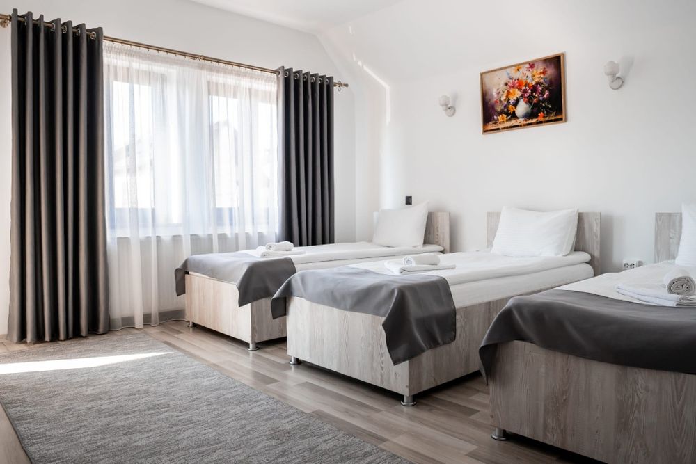 Pensiune,regim hotelier,Casa Darius