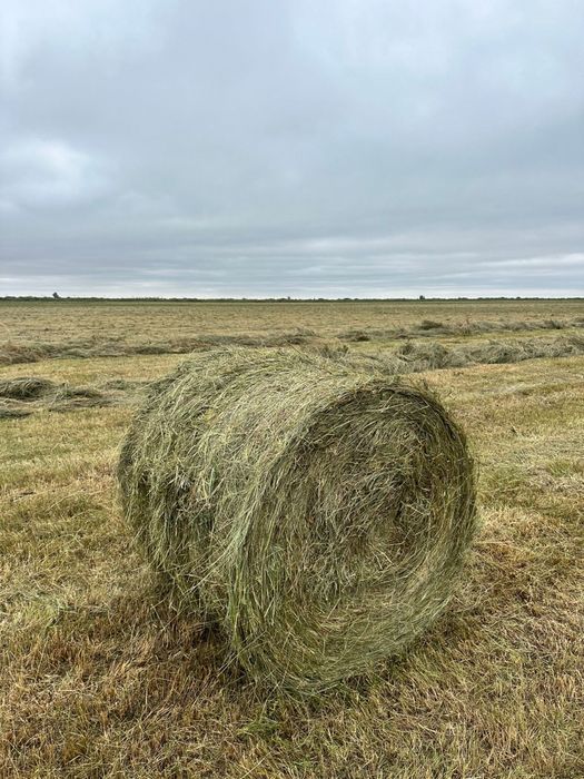 Продам сено, рулоны, тюк, пресс, шоп!