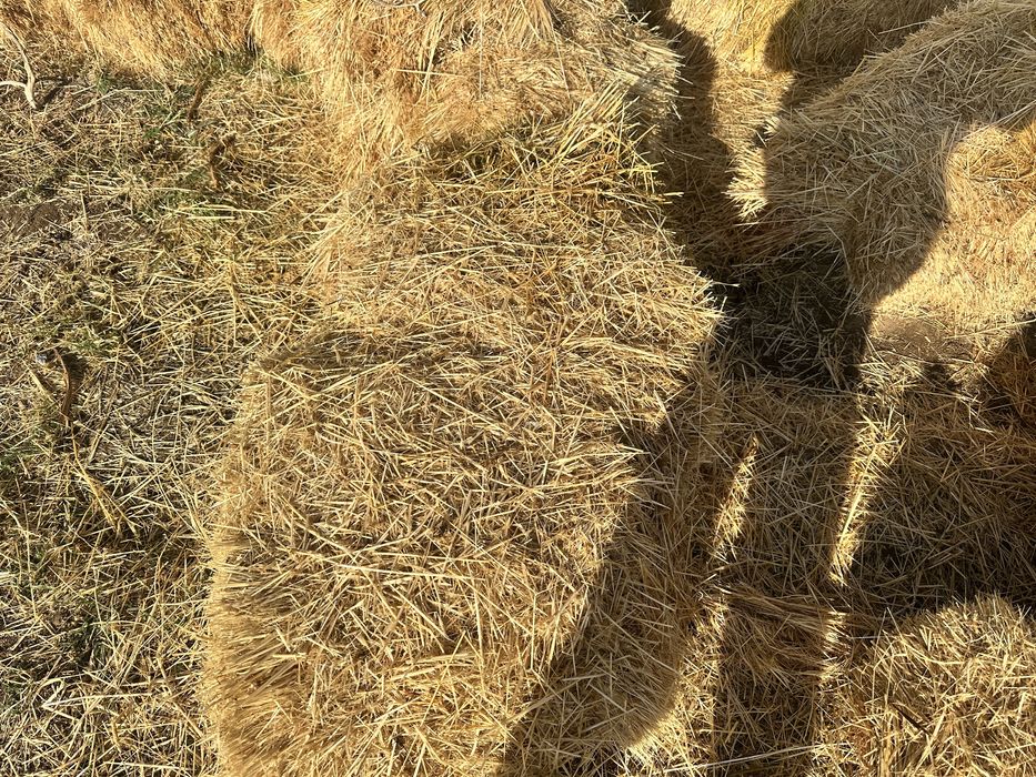 пресс шоп жаксы