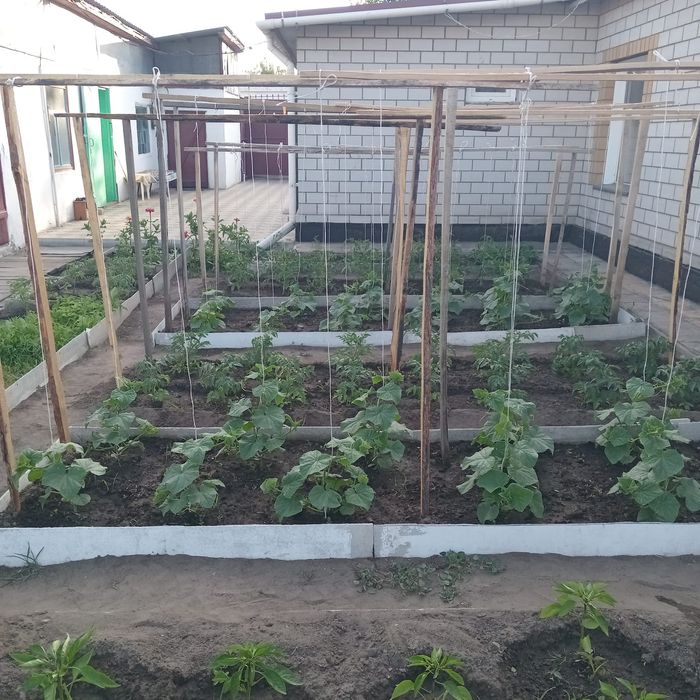 Продам дом в районе Мдс!