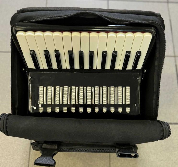 Amanet Next Generation, Acordeon Serenelli