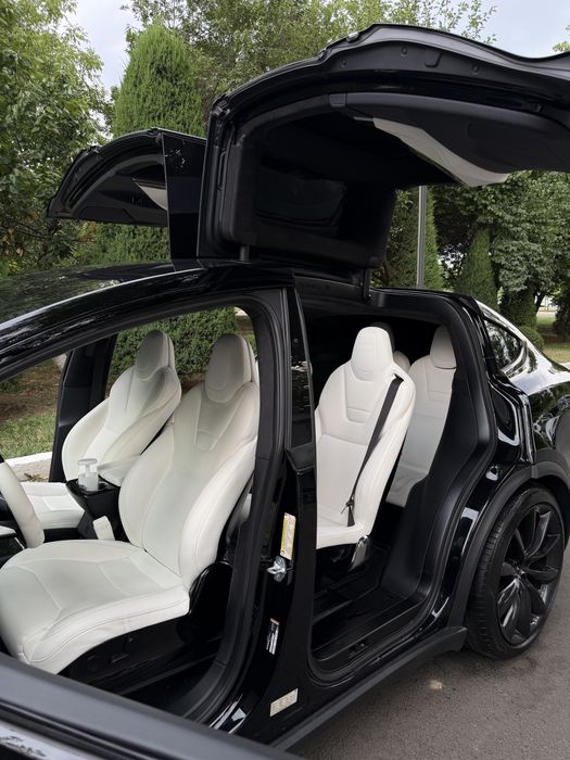 Tesla Model X Perfomance Duall Motor