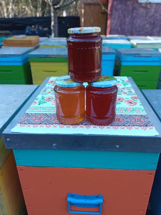 Miere polifloră, zonă de munte. VRANCEA