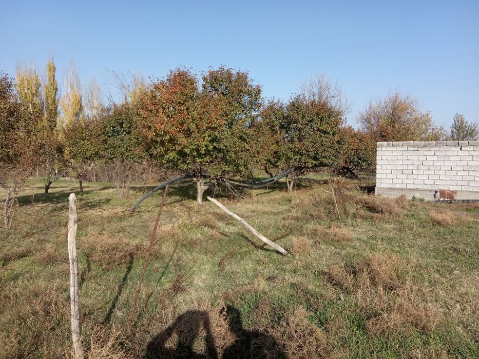 Yer uchastkasi sotiladi