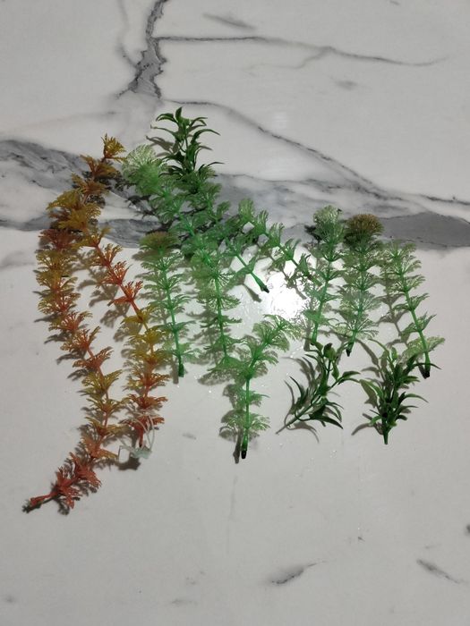 Akvarium uchun aksesuarlar sotiladi