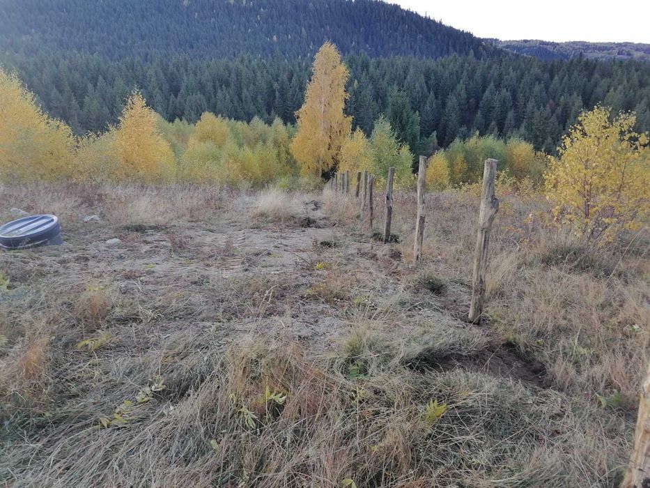 Vând teren pentru cabana la munte