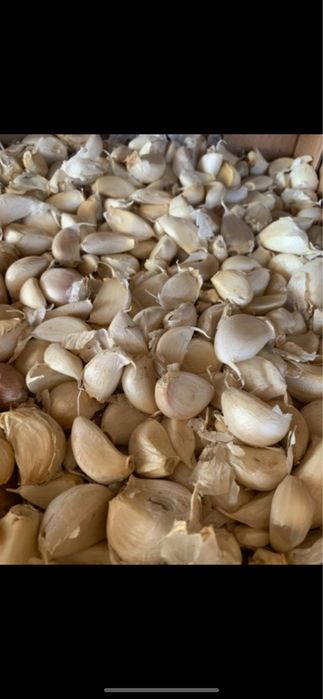 Vand usturoi,desfacut