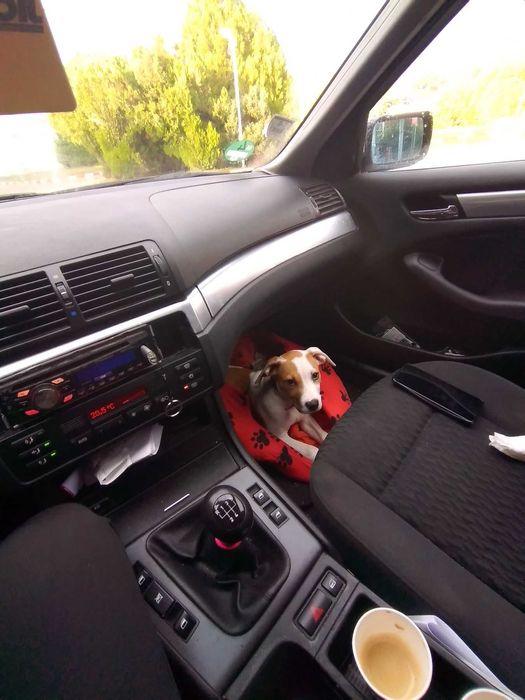 Продава се 316i 1.9 бензин