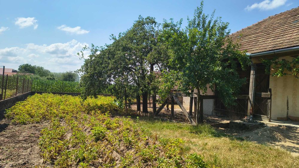Casă cu grădină, localitatea Foieni.