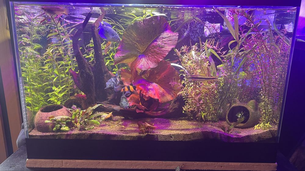 Продам авкариум.