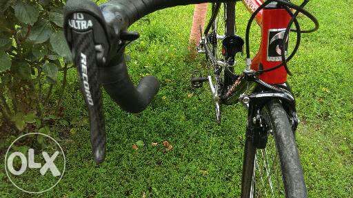 Cursiera compet. Carbon Racing RS85 -7kg ful campagnolo record