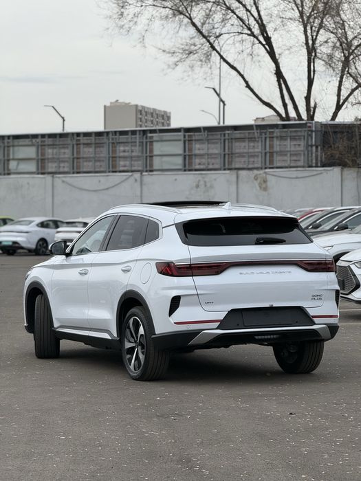 Byd flagship 110 rasrochka