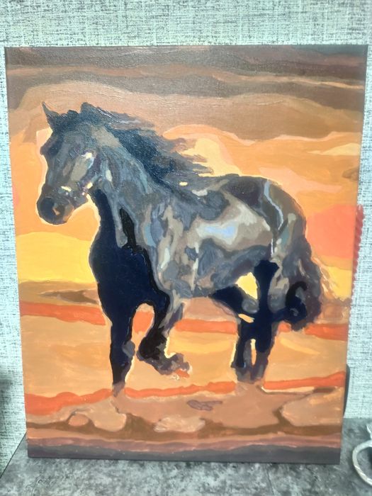 Картина по номерам, готовая