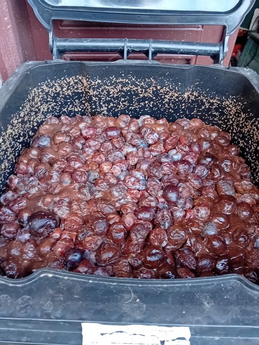 Prune de vânzare