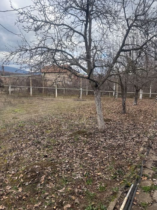 Продава се Къща в Кюстендил, Запад - 826 кв.м за 26 €/кв.м - Снимка #8