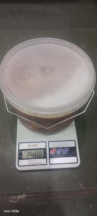 Фастфуд шашлыков