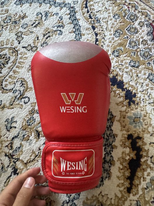 Wesnig шлем печартки