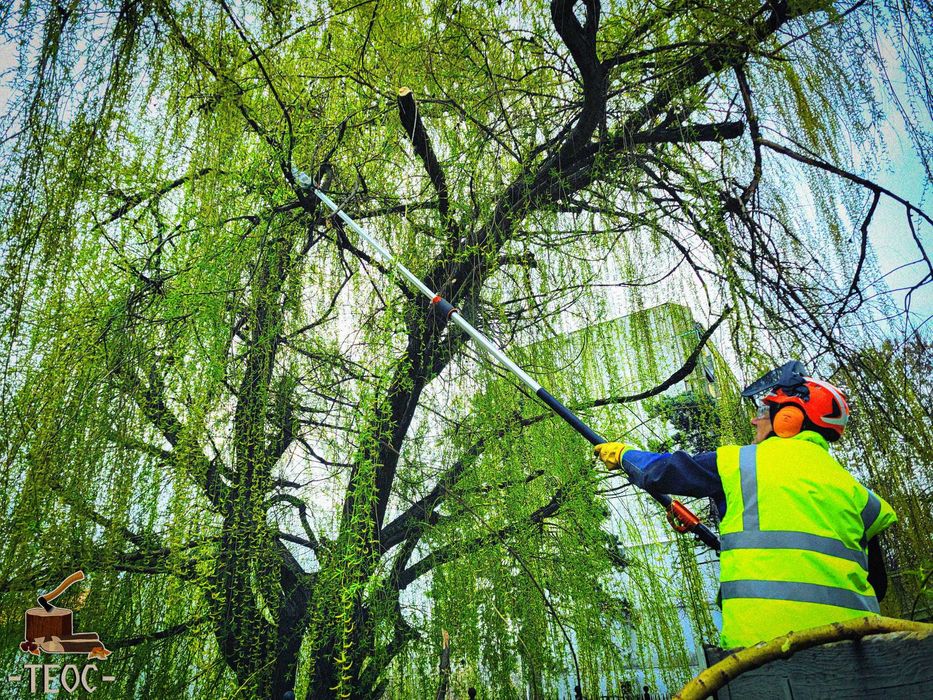 Разчистване на парцели и дворни места - Варна