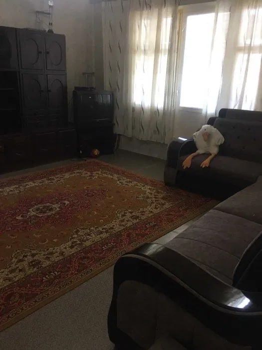 Продается kvartira 2/5/9 на Саид Барака Ор-р ЖК Infinity ГУВД Ташкент