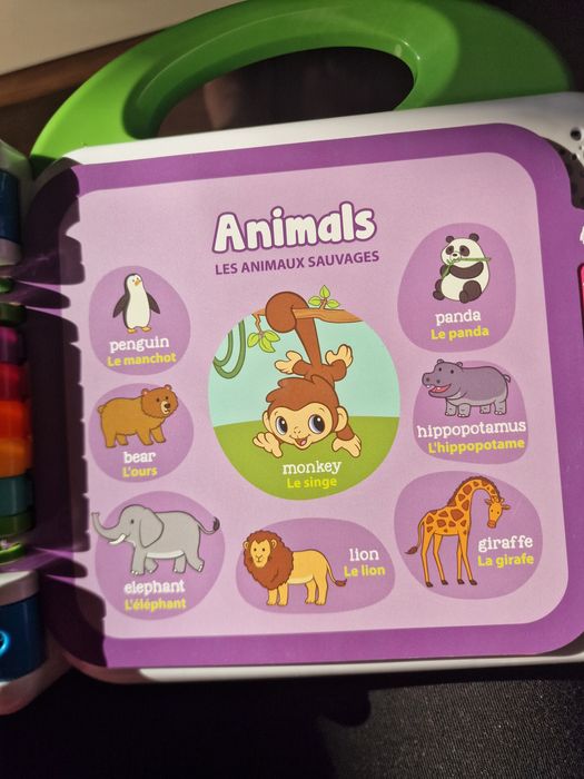 Carte interactiva Leapfrog