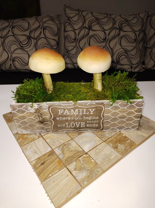 Фото картини и изделия стабилизира мъх