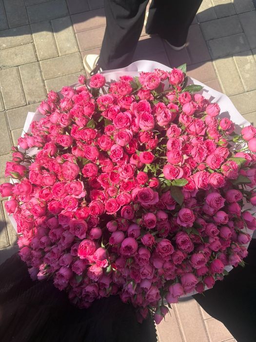 Продам куставые розы 51 штук