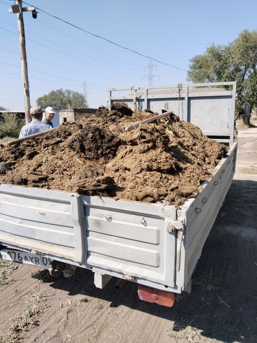 Продам навоз Срочно