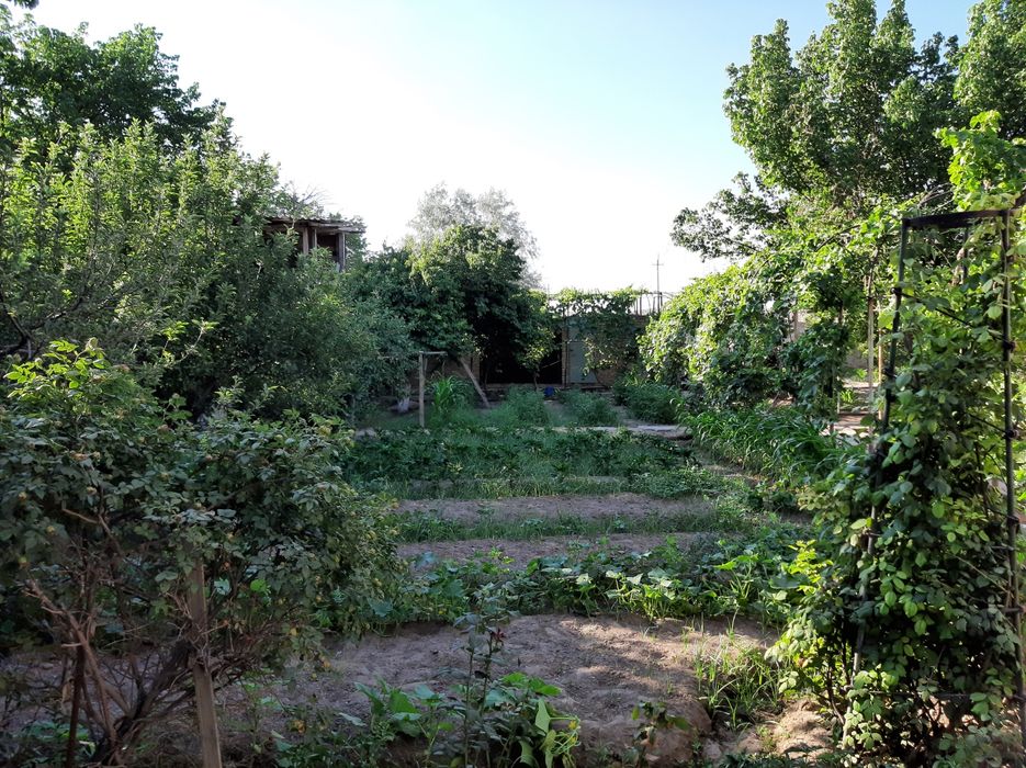 Продается дача 9.25 соток в "Оазисе"