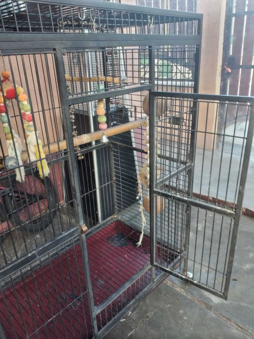 Colivie papagal de vanzare