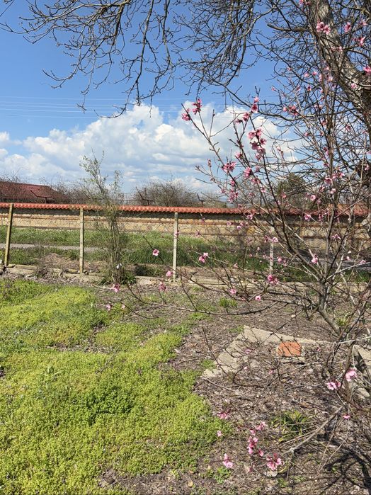 Продавам къща в с.Богданово