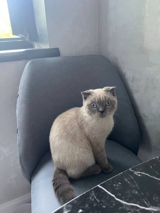 Rechirt Shahrisabz вязка