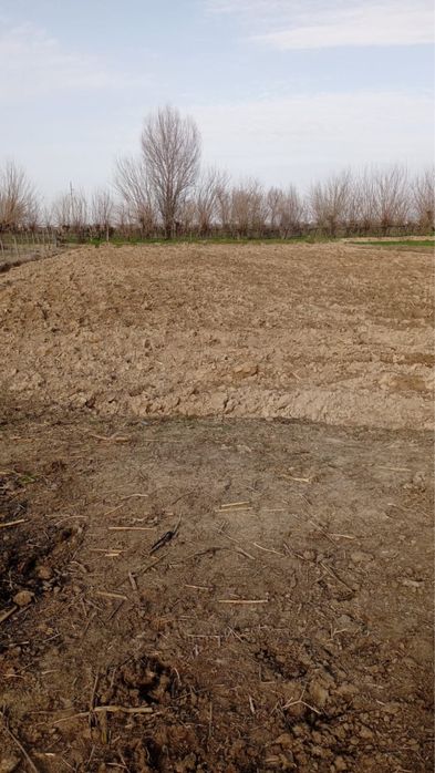 Участок жетісай алғабас