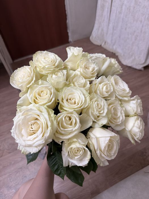 Продам цветы 5000