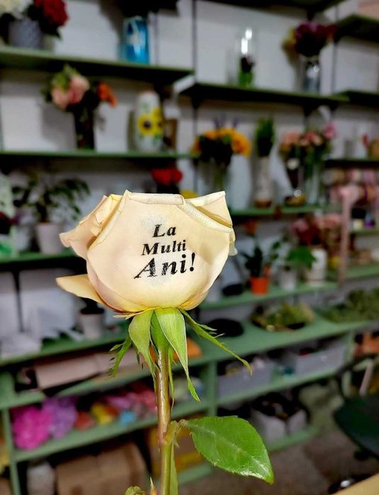 Imprimantă Unghii-Flori