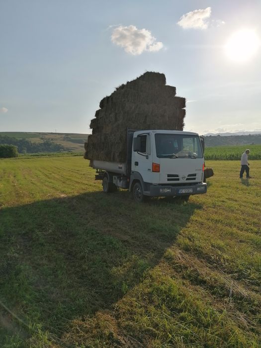 baloti , fîn 20. ron, , ghizdei 25  ron ofer transport