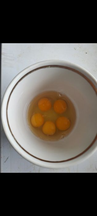 Бөдене және инкубация жұмыртқасы