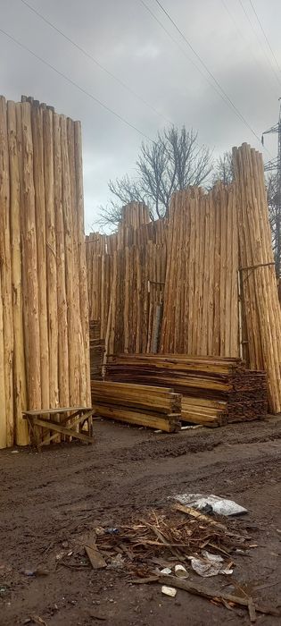 TERAK to‘sin sotiladi