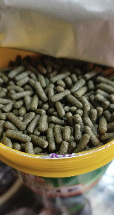 Храна за риби КОИ и костенурки 1ооо мл