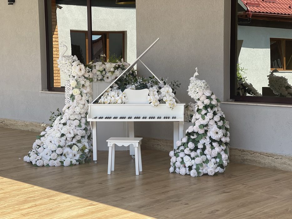 Vând firmă decorațiuni evenimente
