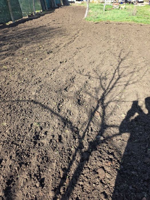 Оран/фрезоване София област