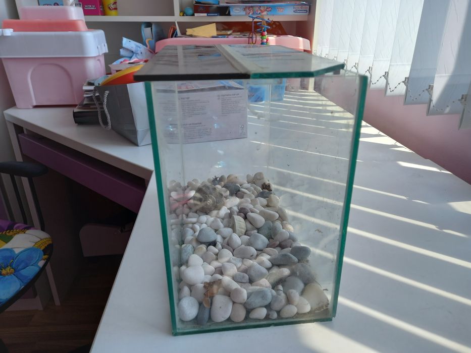 Стъклен аквариум с капак за рибки пълен комплект