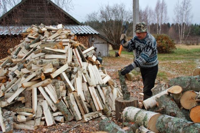 Валим, пилим деревья. Заготвка дров.