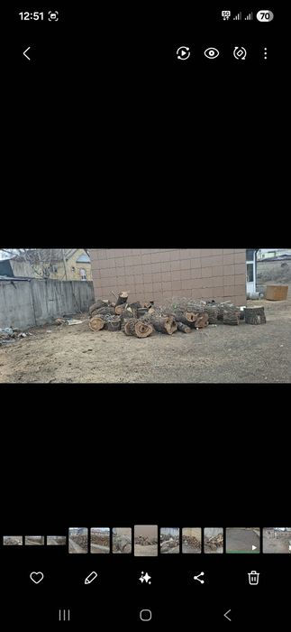 Продам дрова 10000