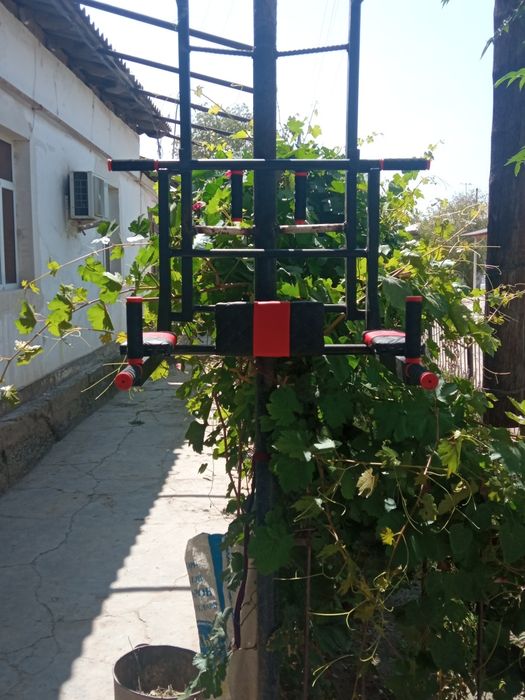 .Trenajor tort upravjenie