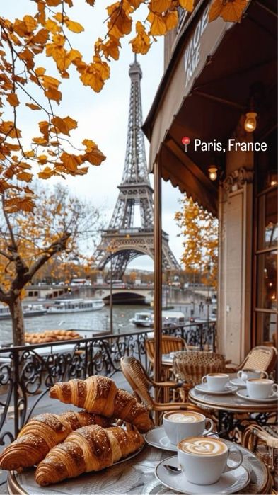 Французский язык