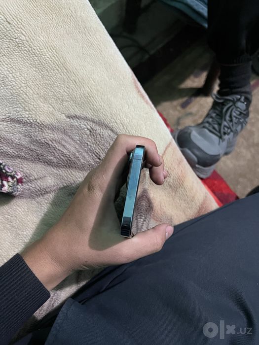 Iphone 13pro max.
