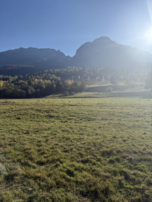 Vand teren zona Plaiu foi Zarnesti